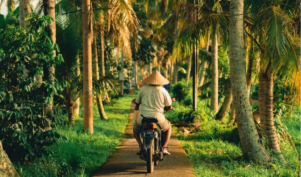 Mexico lifestyle travel insights 