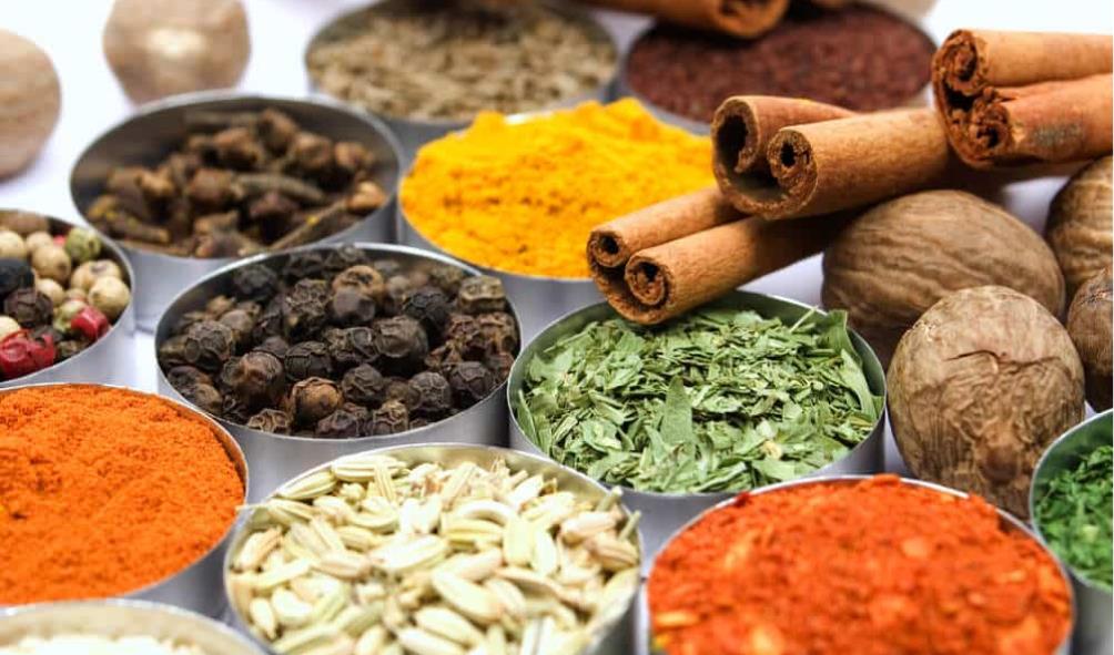 Mexican cuisine vibrant 