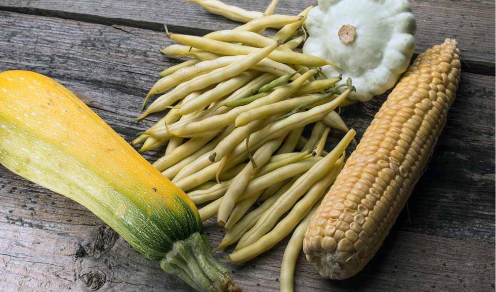 Mexican culinary history 