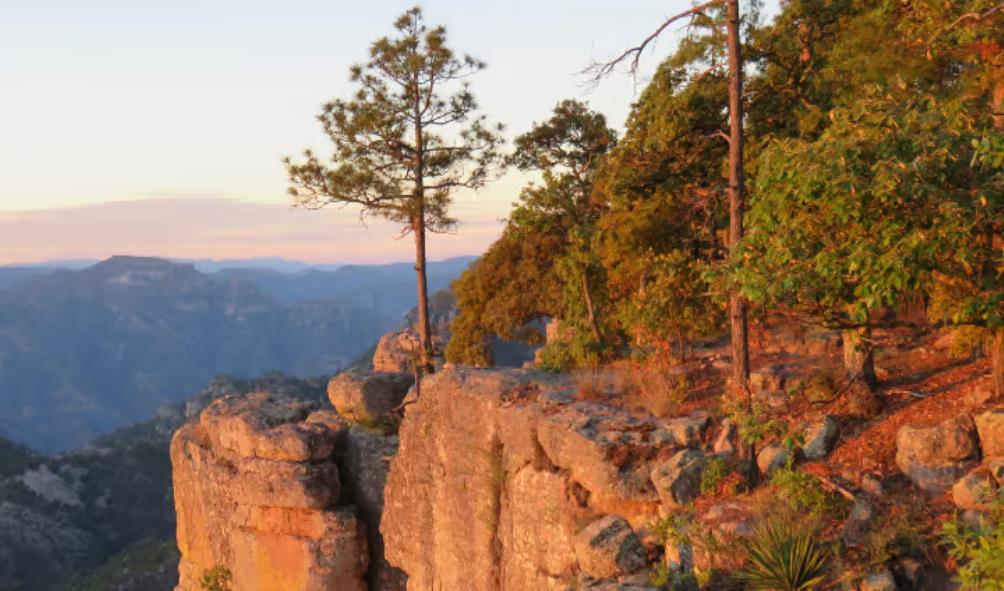 Mexico''s inviting atmosphere 