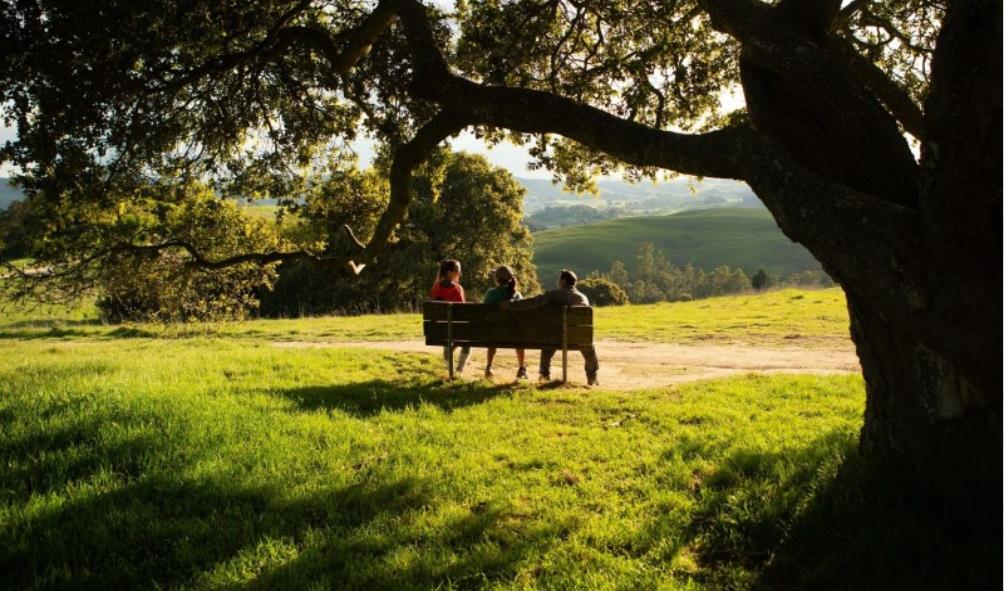 Stress relief nature 