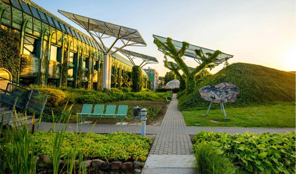 Cultural Longevity Mexico 