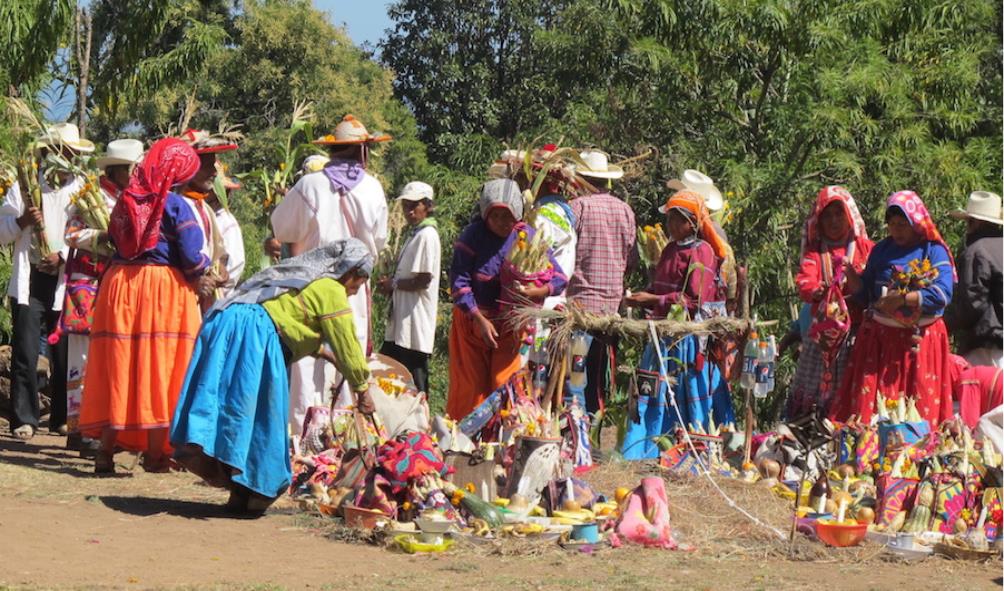 Holistic health philosophy 