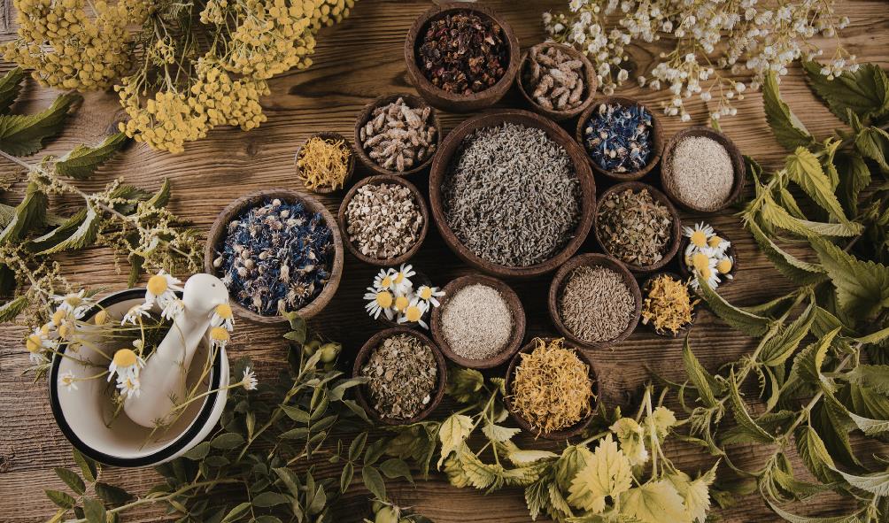 Mexico healing traditions 