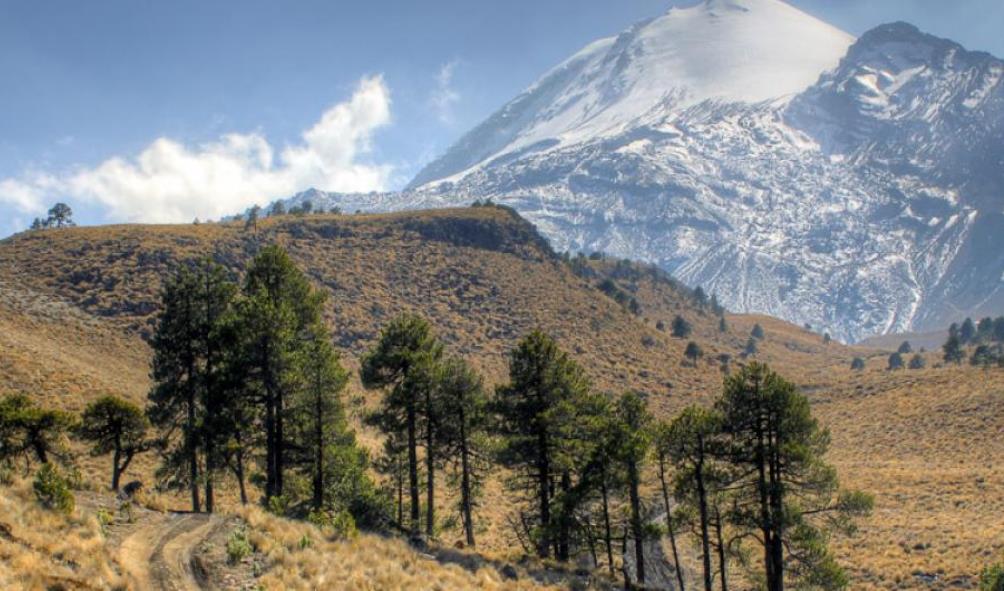 recovery centers Mexico 