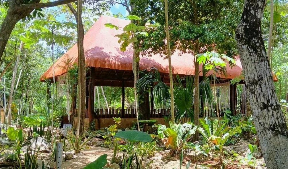 Healing retreats in Mexico 