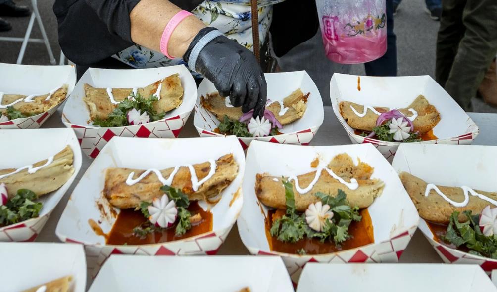 wellness retreats Mexico 