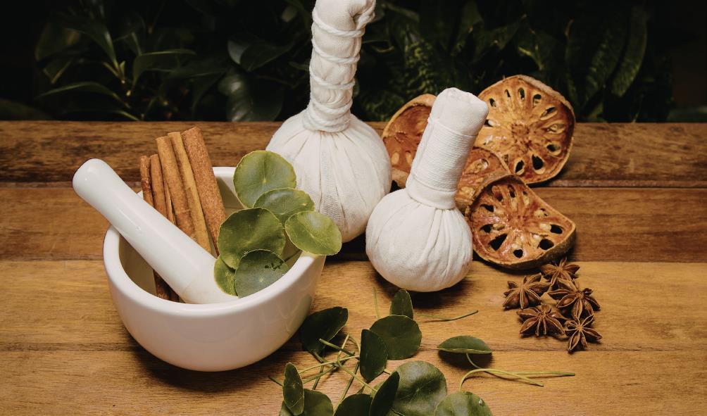 health and wellness journey 