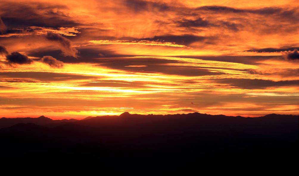 natural healing benefits Mexico 