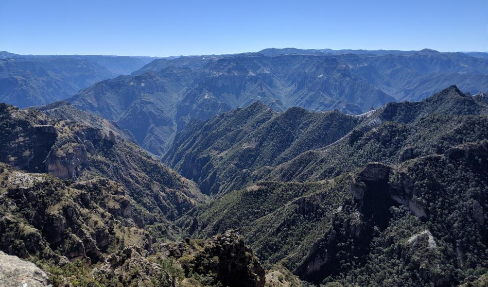 Mexico''s healing environment 