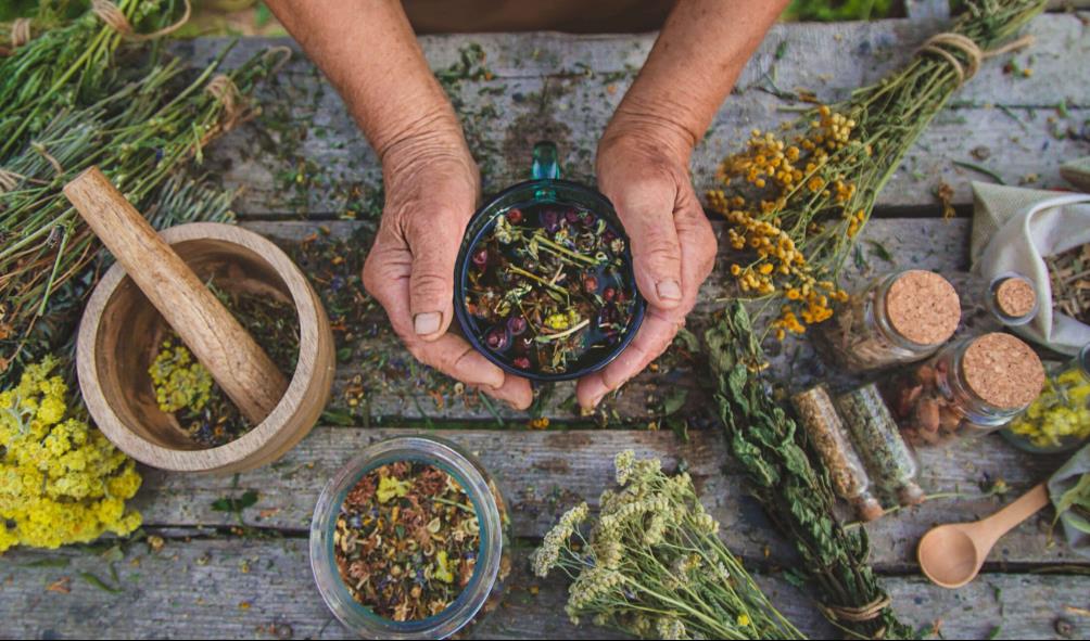 Mexico wellness climate 