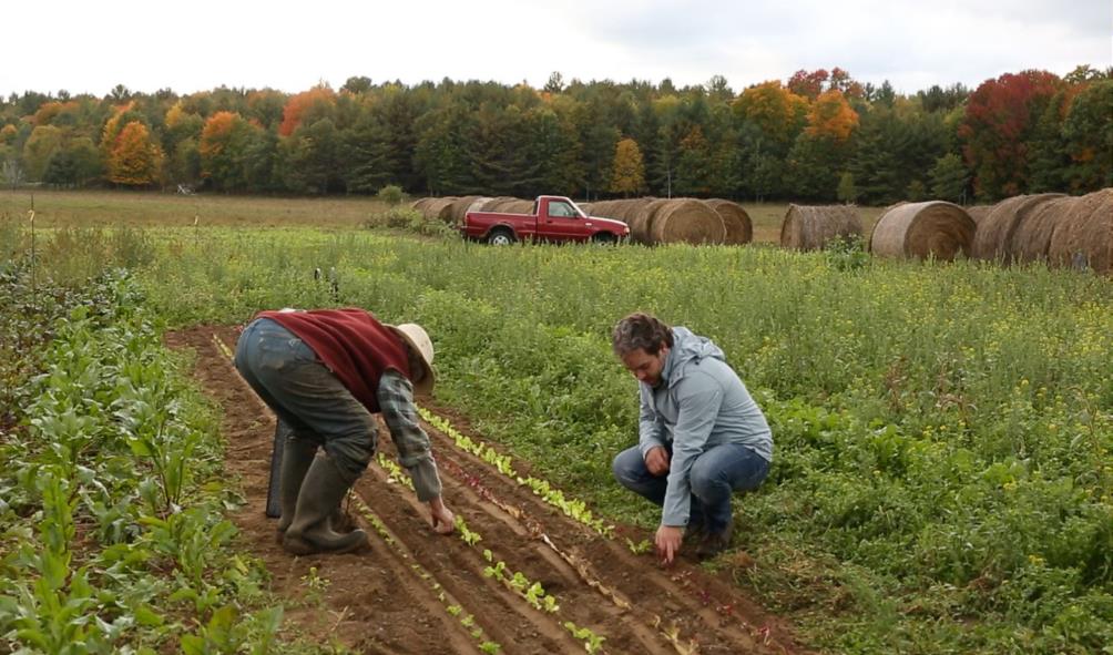 Mexican food and health benefits 