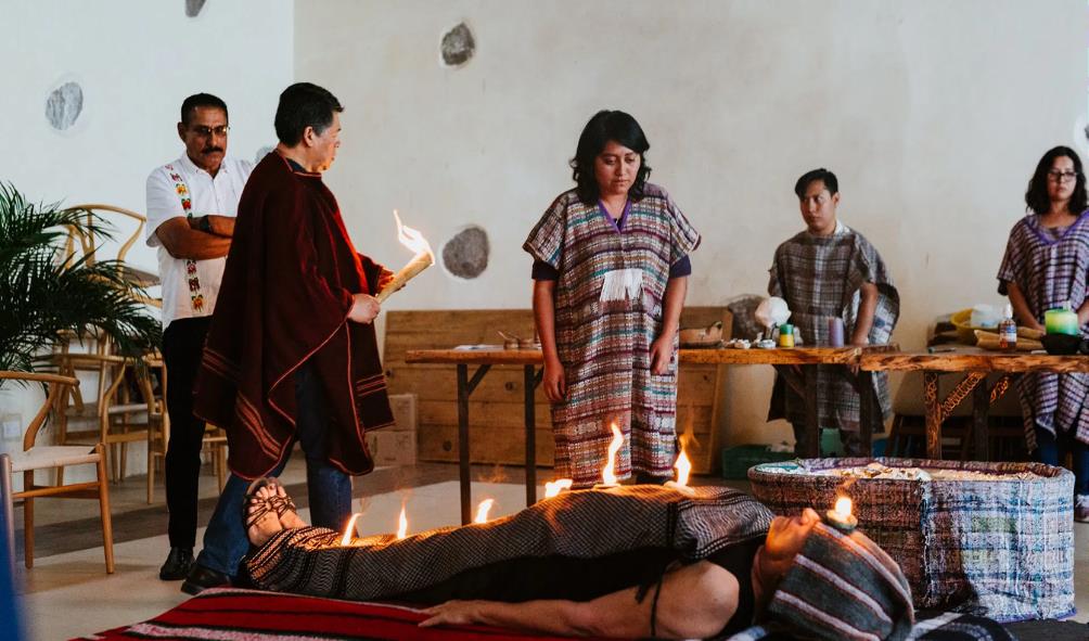 Mexican healing herbs 