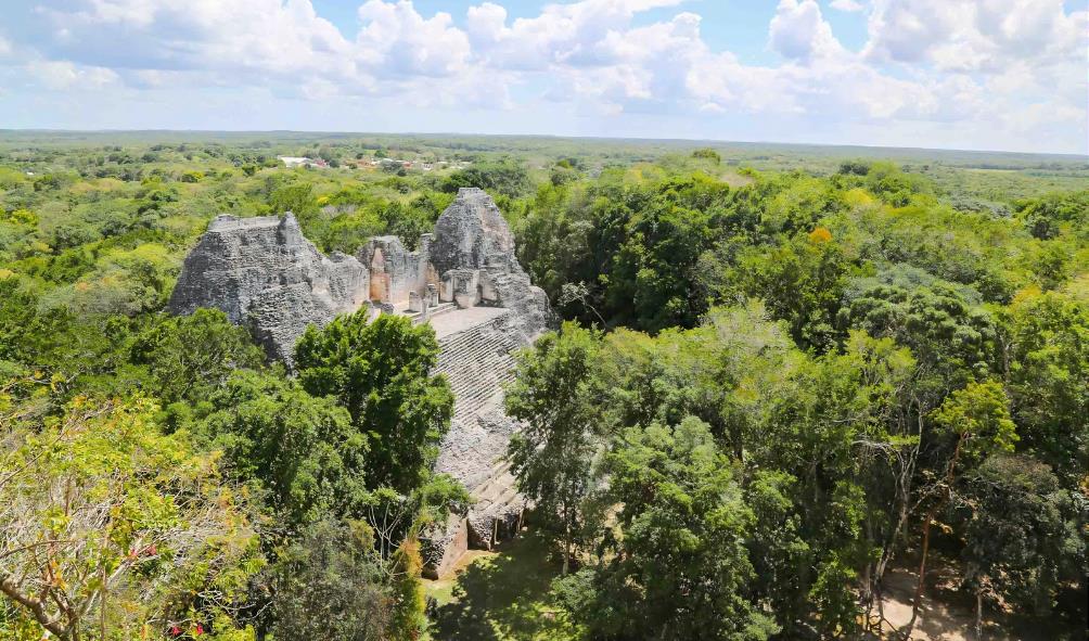Nature''s Healing Mexico 