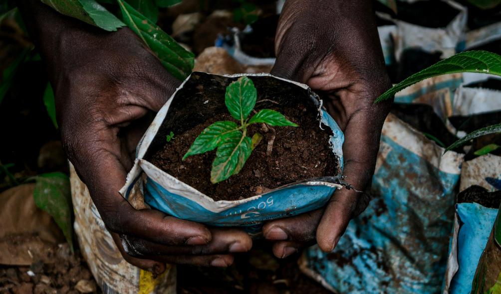 Nature’s healing power 