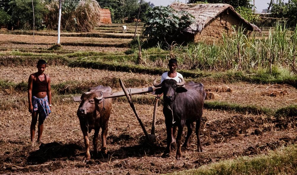 Soil fertility Mexico 