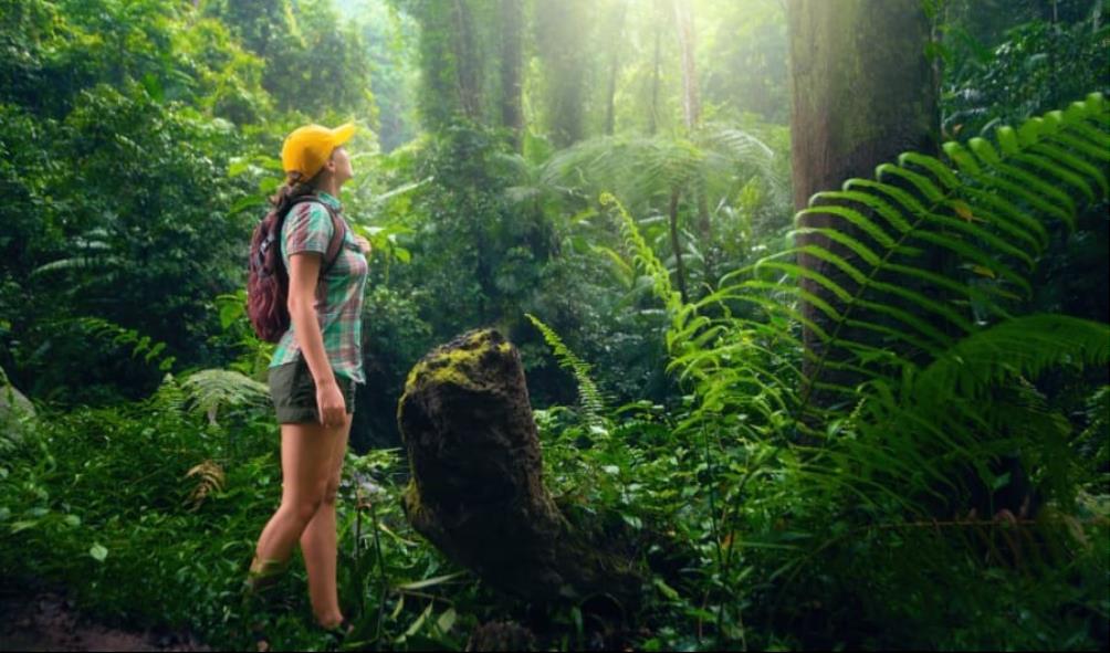 mind-body wellness Mexico 