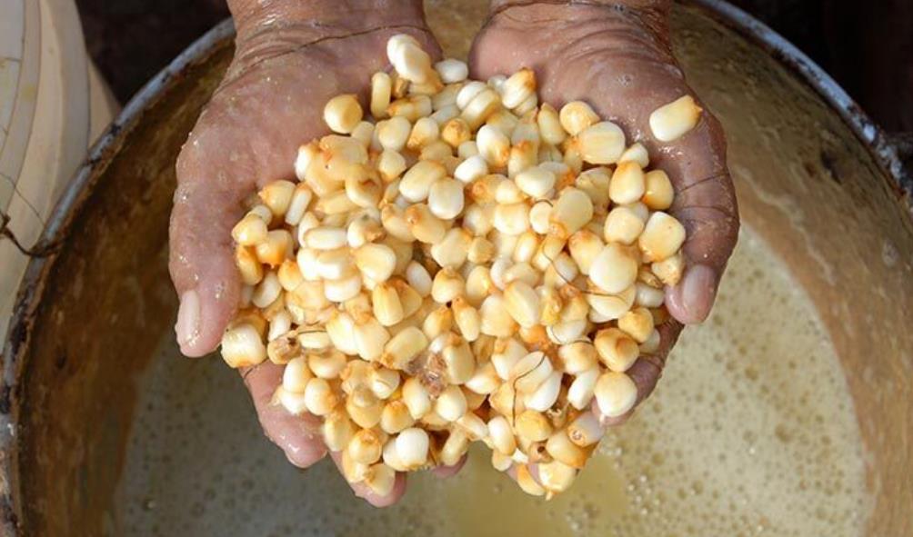 Corn''s Significance in Mexico 