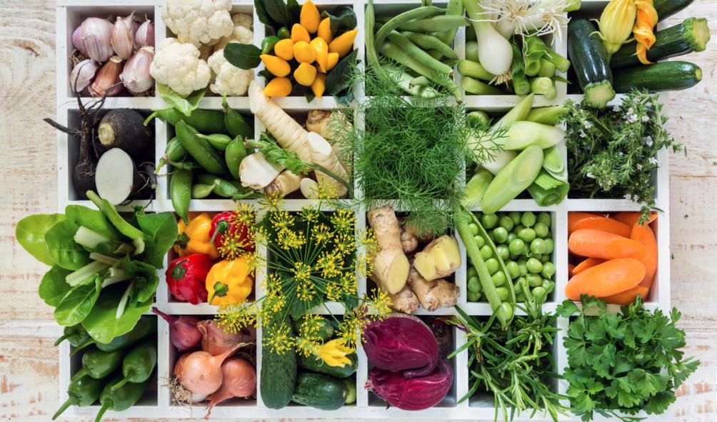 Mexican wellness secrets 