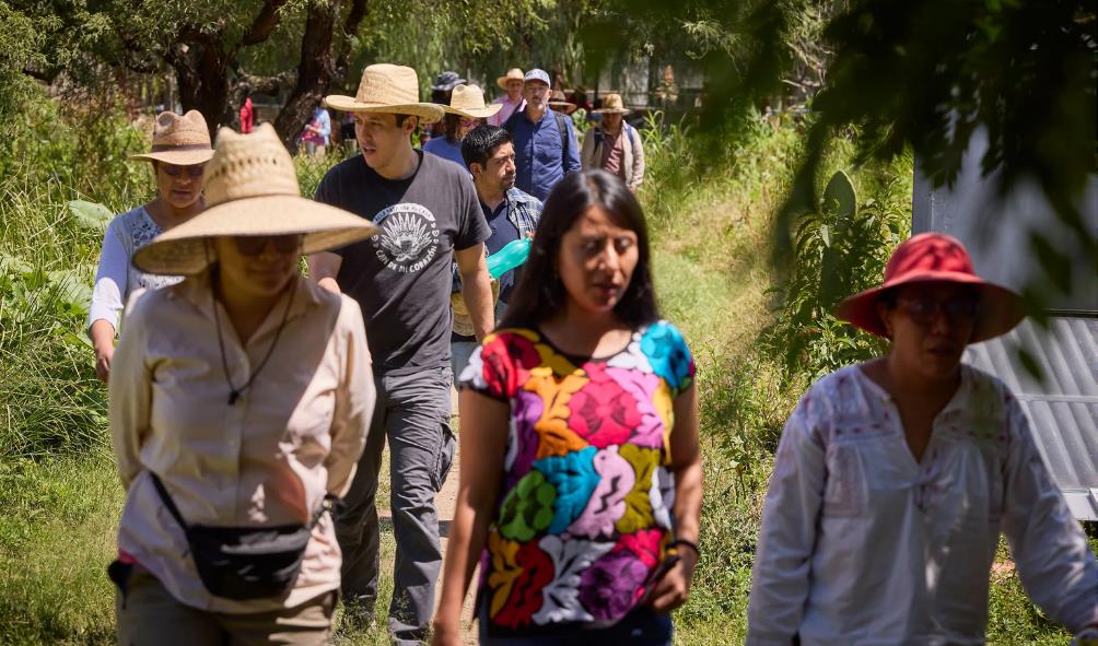 Mexican culture and healthy living 