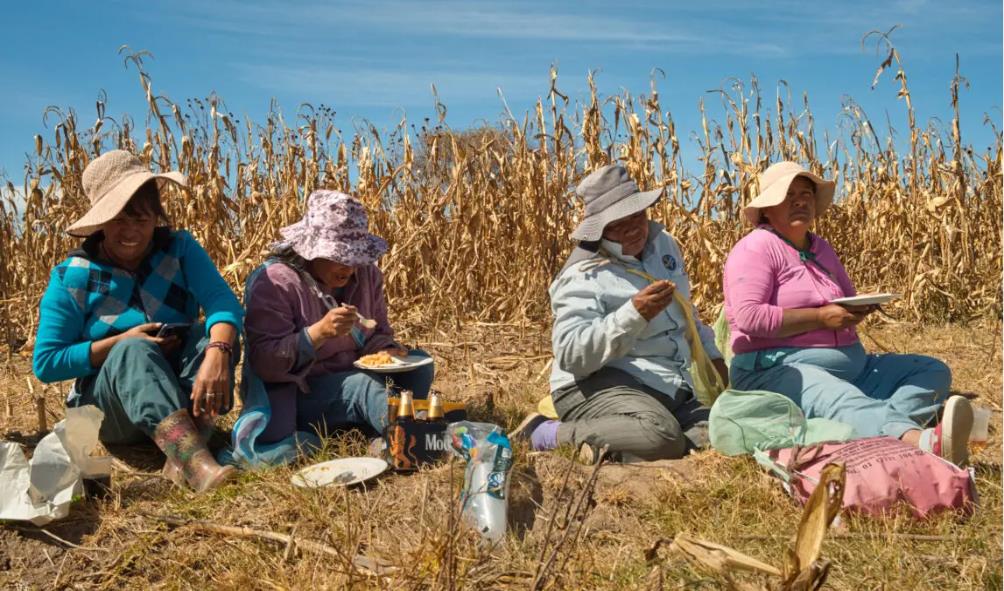 Mexican maize healing 