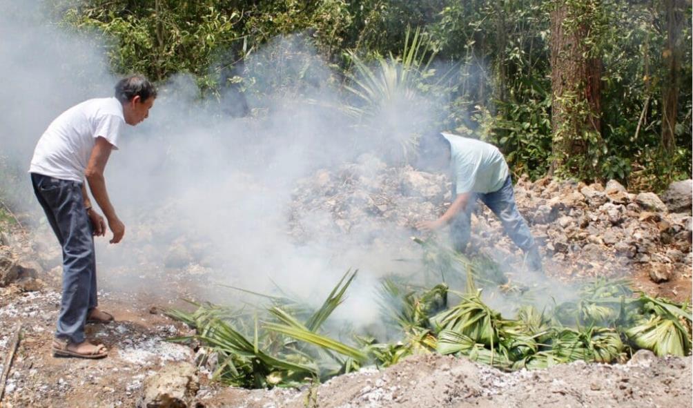 Sustainable farming in Mexico 