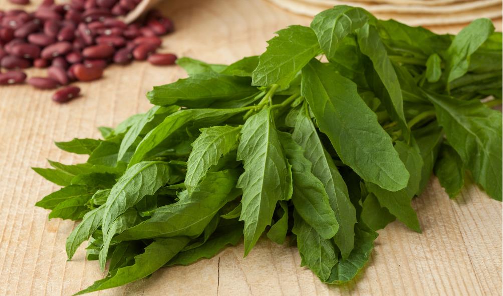 Ancient Mexican food staples 