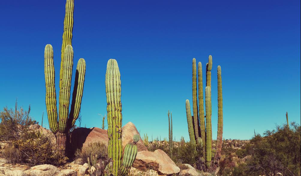 Mexico spa destinations 