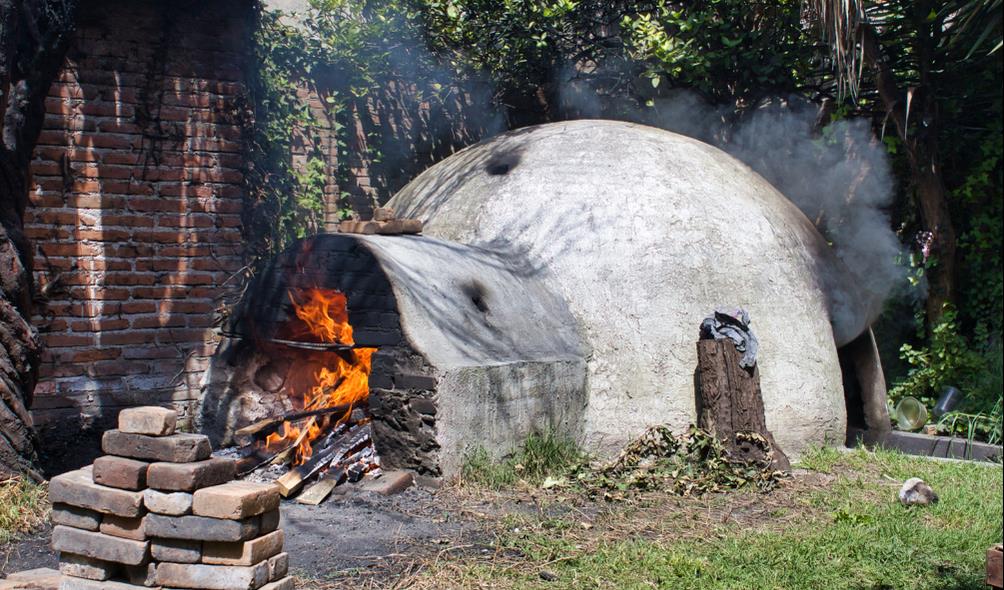 Mexico wellness hot spots 