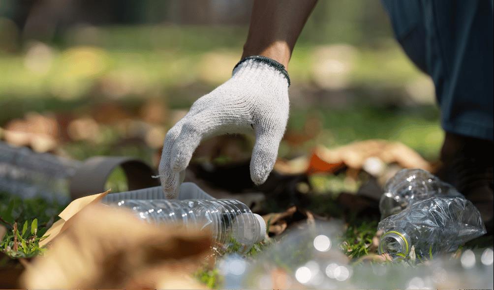 Sustainable Living Mexico 