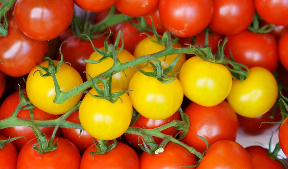 Superfood ingredients in Mexican food 