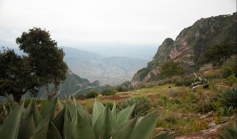 Health rejuvenation Mexico 