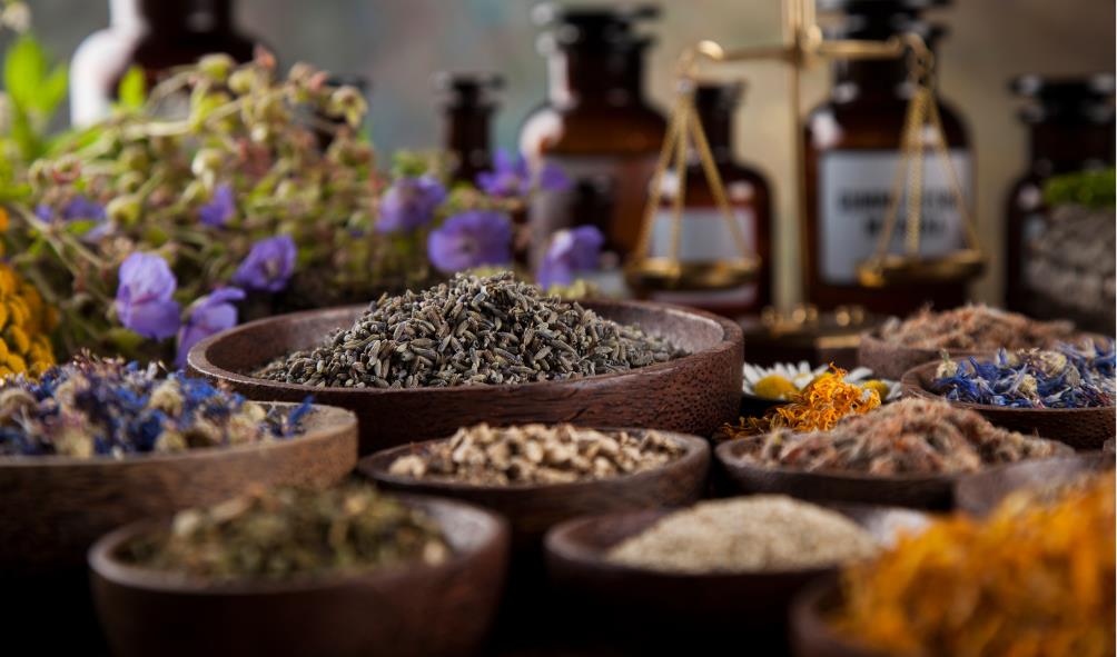 Natural rhythm of health in Mexico 