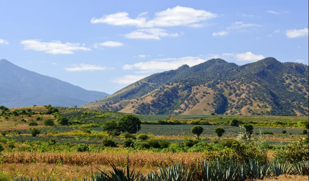 Nature healing in Mexico 